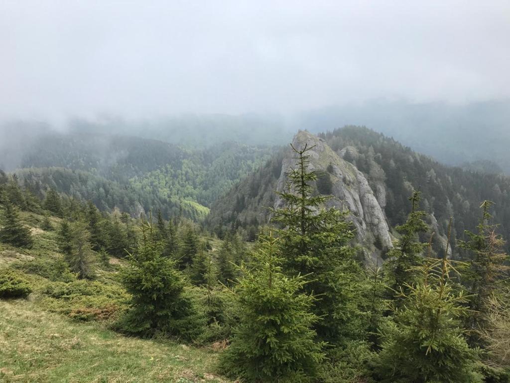 Apartament Ovo Sinaia Buitenkant foto