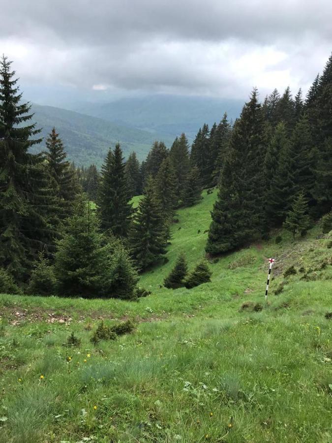 Apartament Ovo Sinaia Buitenkant foto