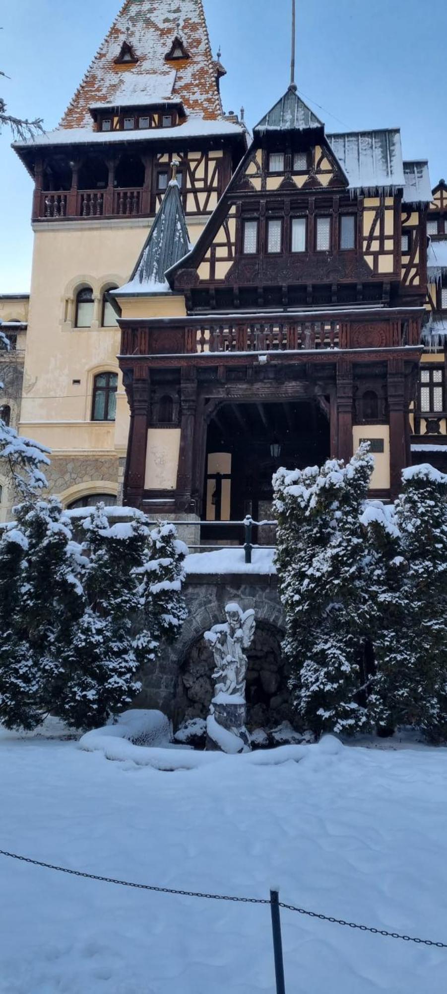 Apartament Ovo Sinaia Buitenkant foto