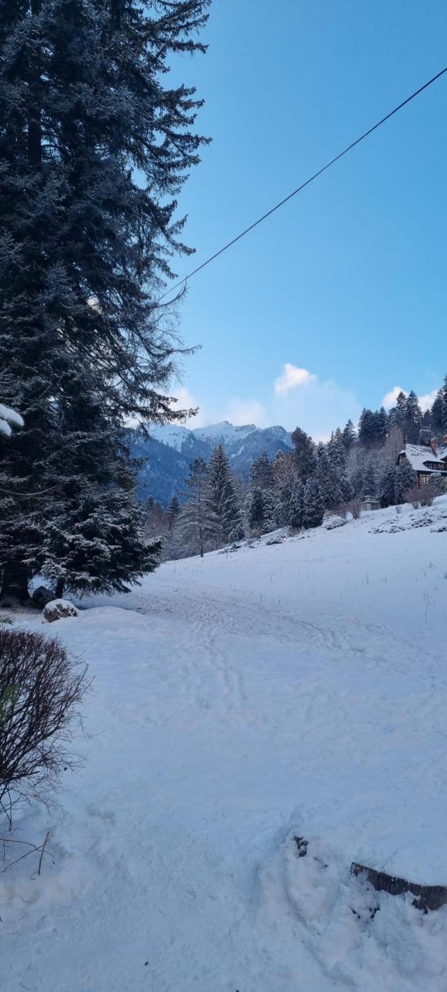 Apartament Ovo Sinaia Buitenkant foto