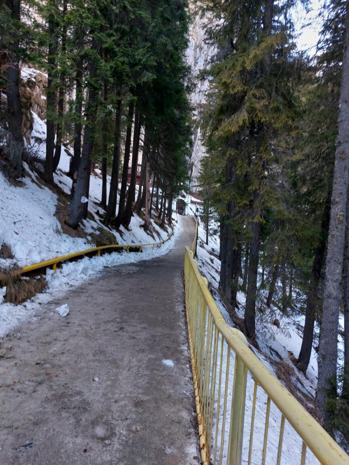 Apartament Ovo Sinaia Buitenkant foto