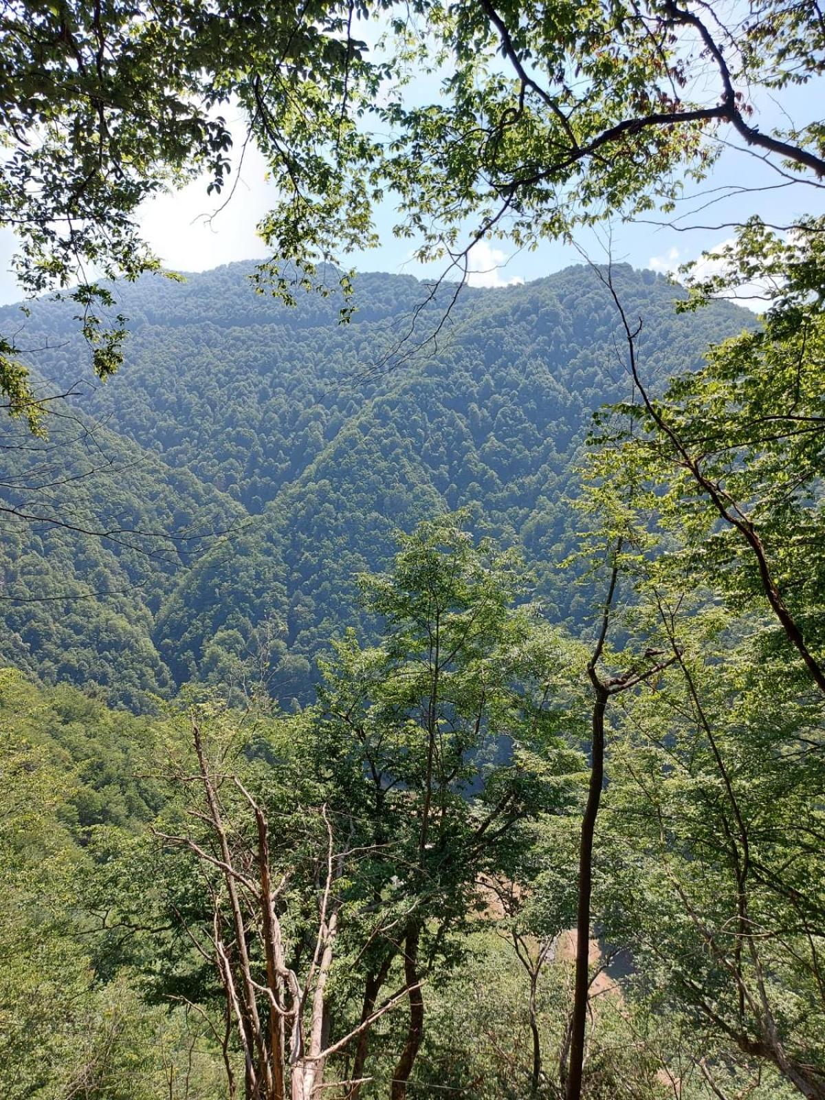 Apartament Ovo Sinaia Buitenkant foto